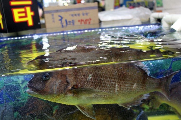 Рыбный рынок (Инчхон)